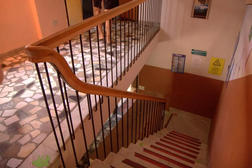 All In Mendoza Monkey Hostel
